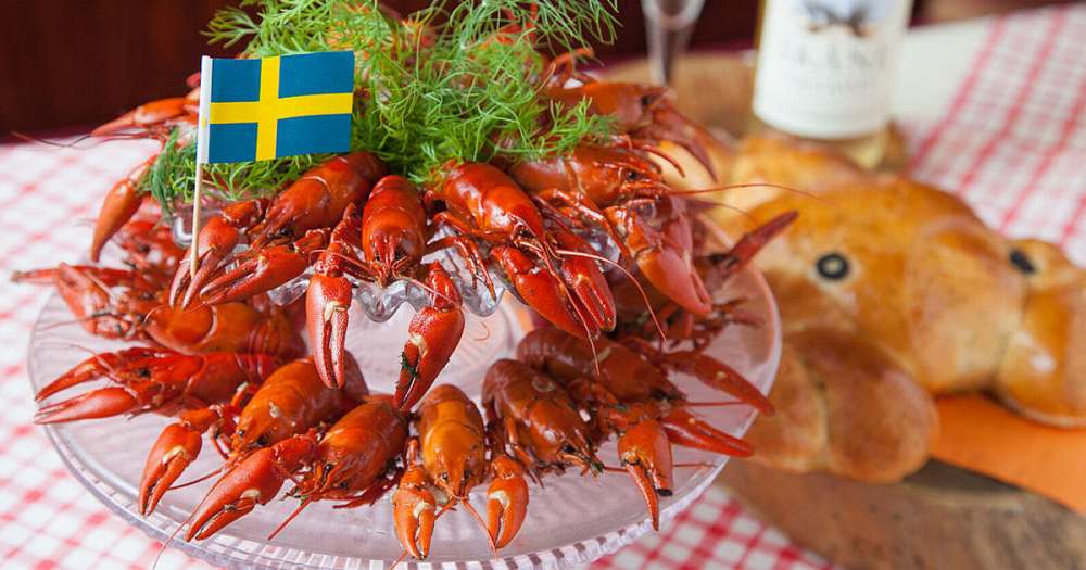 2025年のクリスマスの特別な衣装 ⭐ つくば ボルボ・カー | 🦐 8月は、ザリガニパーティー その他