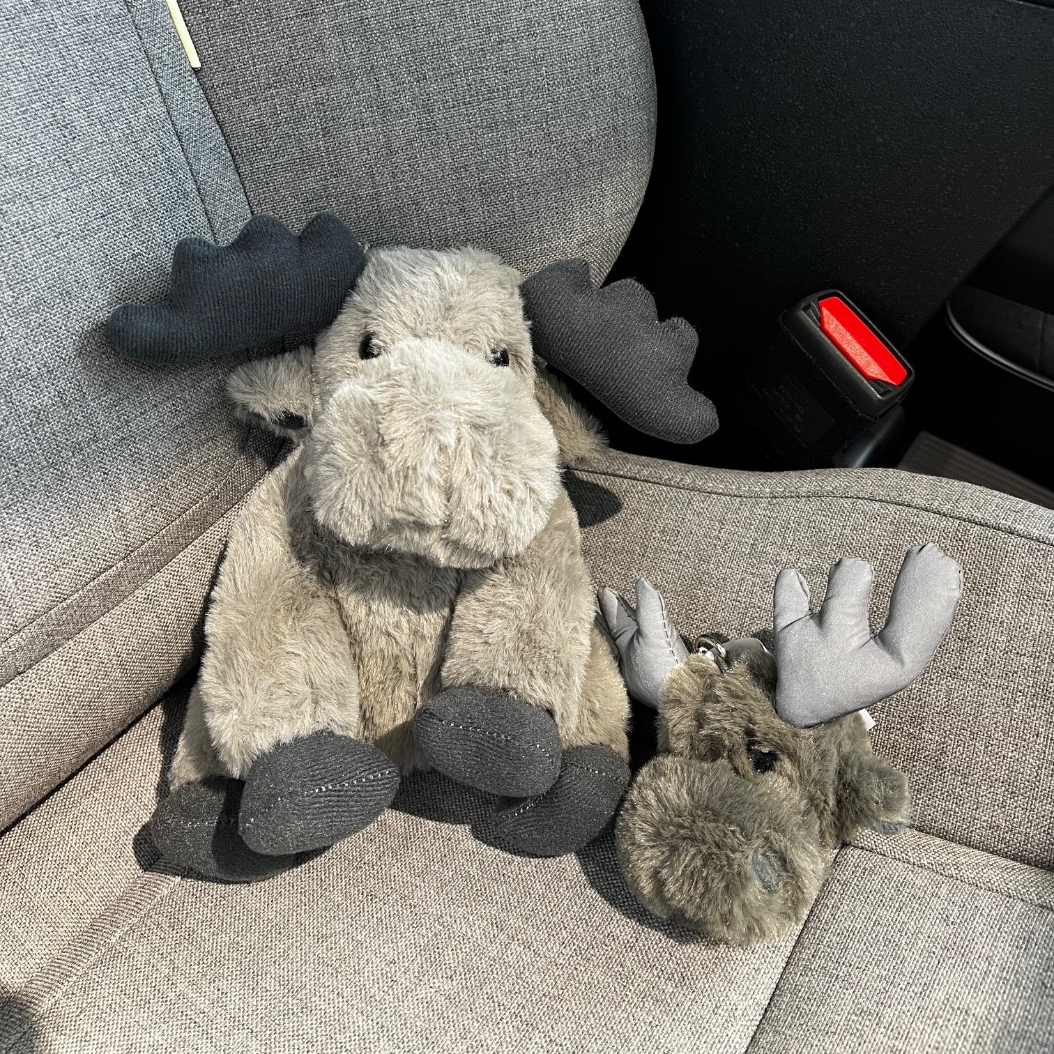 エルクグッズのご紹介～ | ボルボ・カー つくば